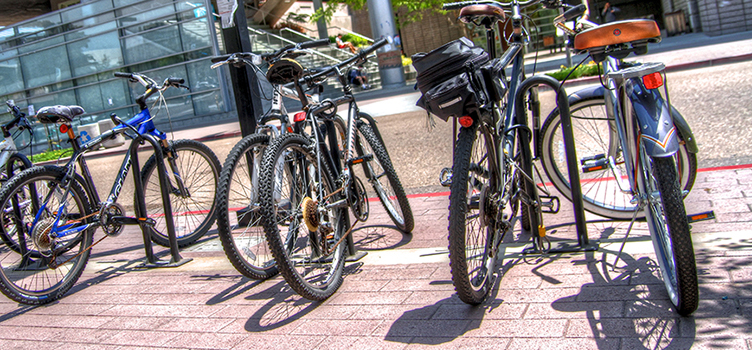 Bikes on Campus